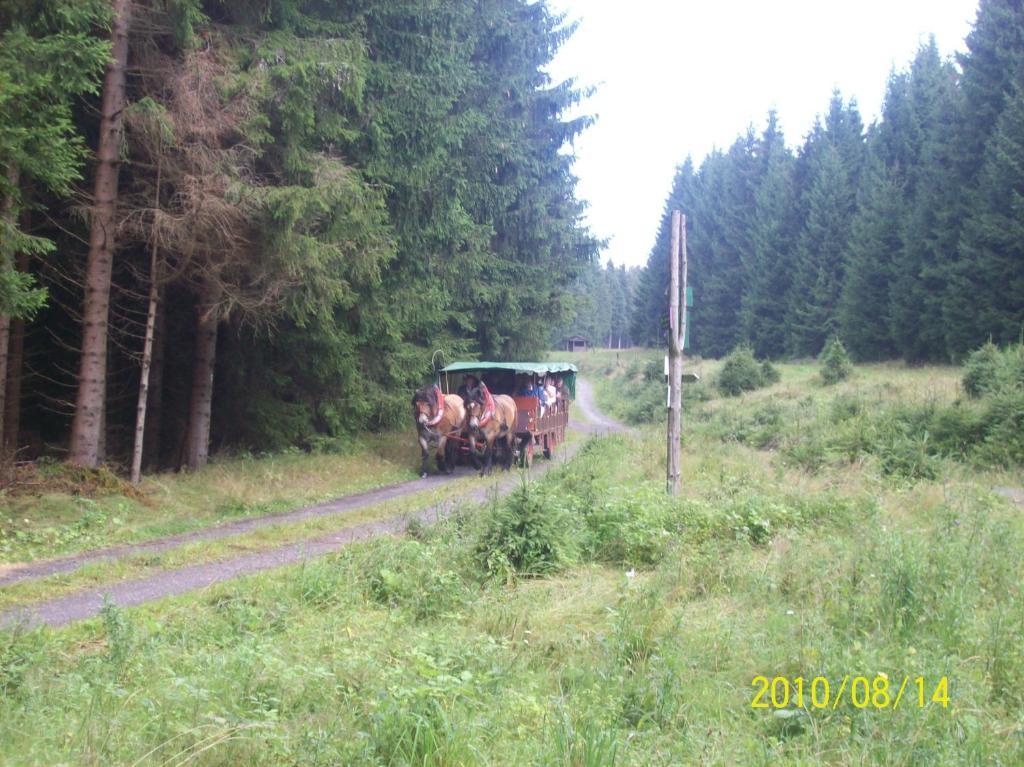 Hotel Burghof Oberweißbach Zimmer foto
